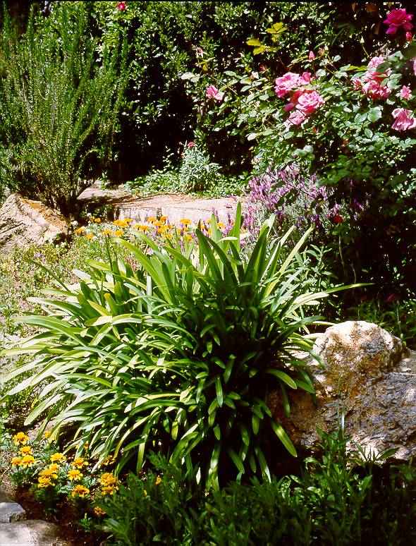 Gardens of Belle de Jour Inn
